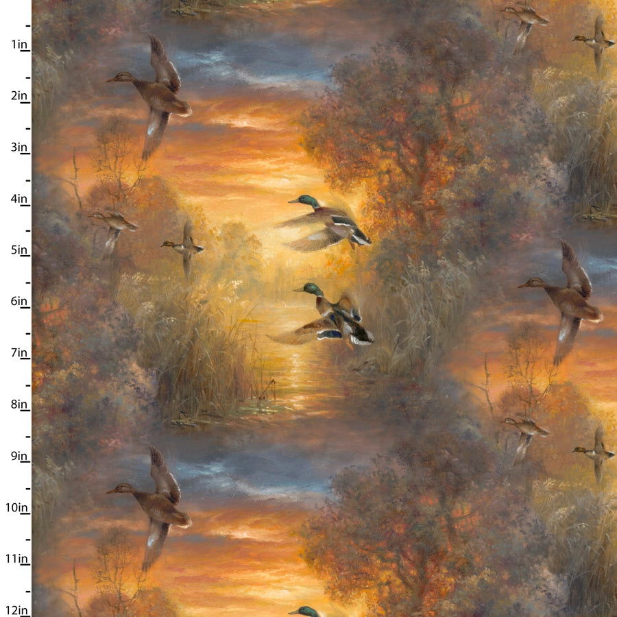 Whitetail Country - Evening Soar - Multi