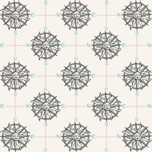 Smooth Seas - Compass - Pacific Fabric