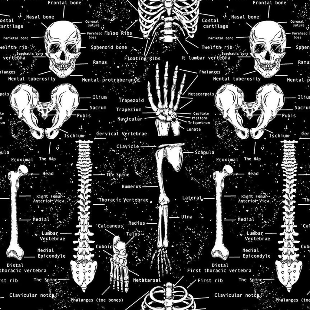 Fun - Skeletons - Black