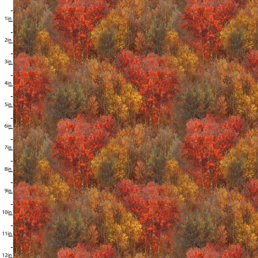 Whitetail Country - Forest texture - Autumn
