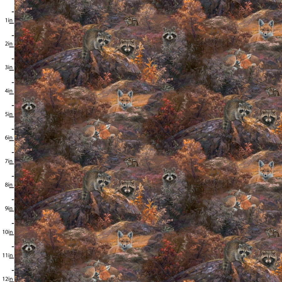 Whitetail Country - Scenic Critters - Multi