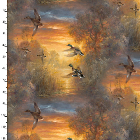 Whitetail Country - Evening Soar - Multi