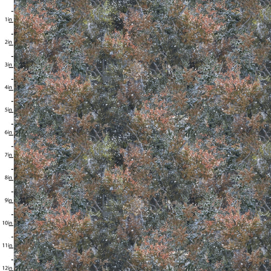 Under the Moonlight - Pine Scrub - Multi