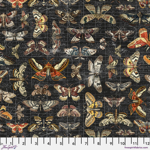 Palette Seasonal - Halloween Moth Study