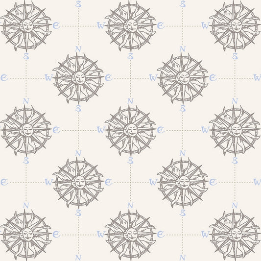 Smooth Seas - Compass - Arctic Fabric