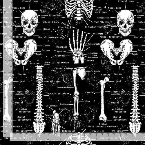 Fun - Skeletons - Black