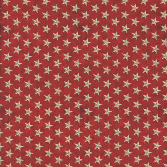 Colors of Courage - Stars All Over red